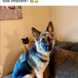 Meet your Posher, Debbie